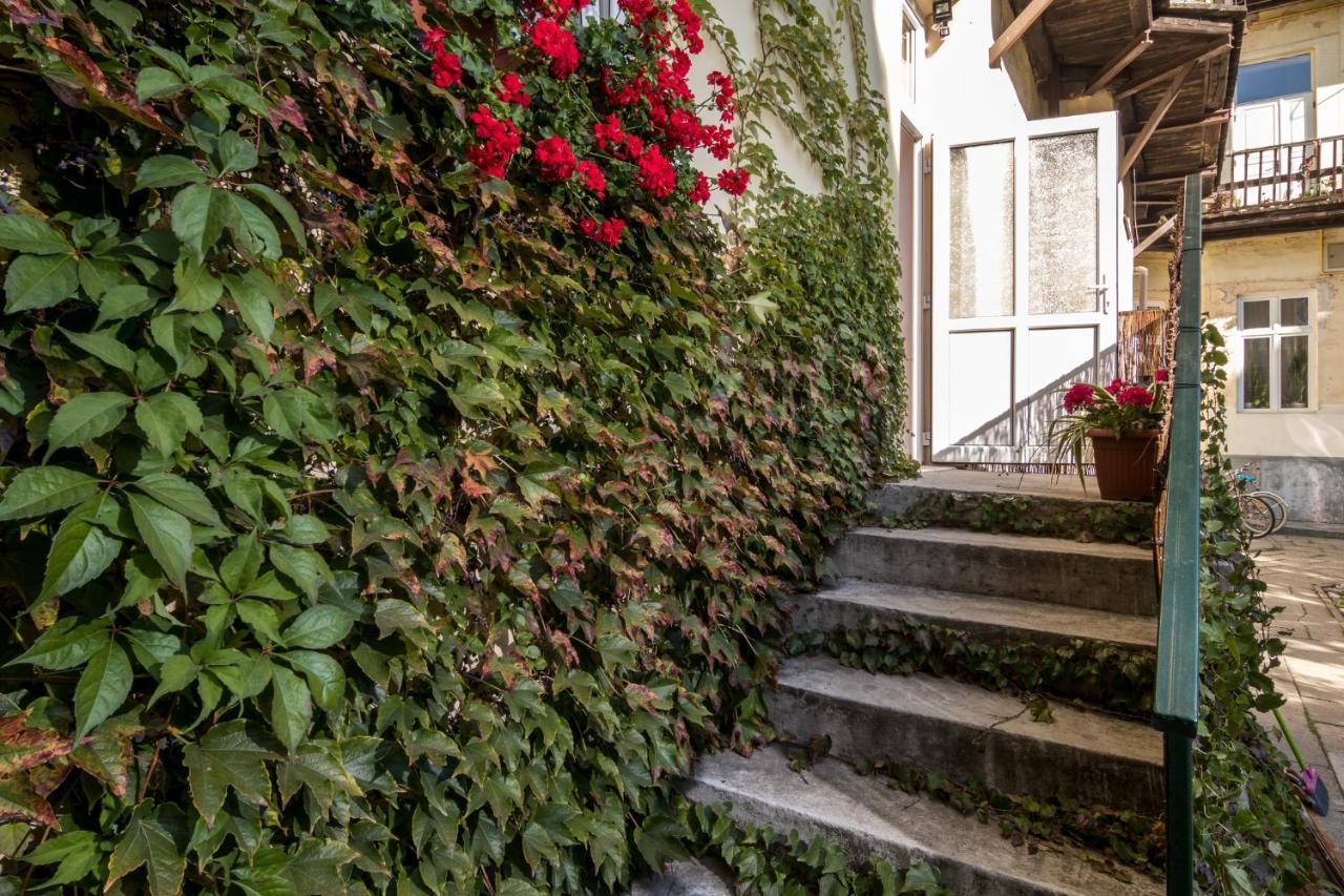 Cracow Best Location Apartment With Garden By Cozyplace Краков Экстерьер фото